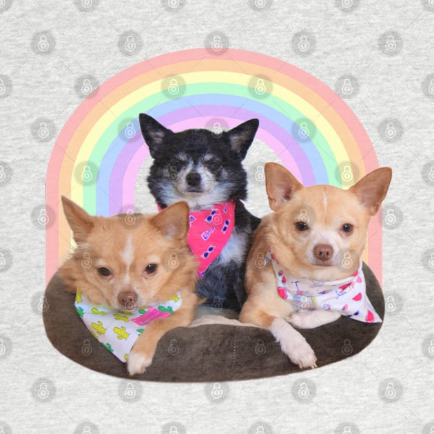 Chihuahua Rainbow Trio by BarkPink